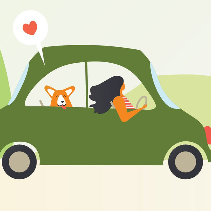 Dog Car Safety - Your Options, Practical Tips & The Law - - BlackboxMyCar Canada