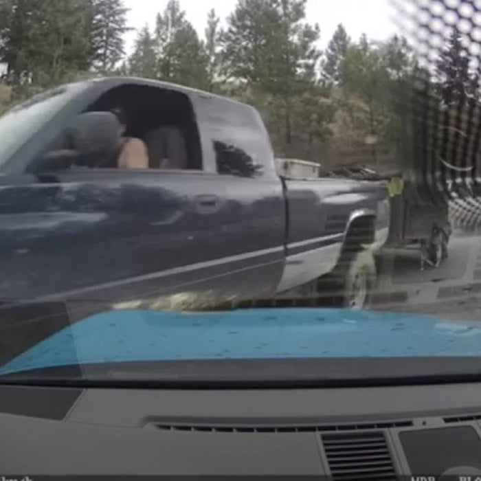 Dash Cam Footage Helps Catch Thieves in Alberta Rockies