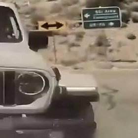 Dash Cam Captures Shocking Hit-and-Run on Mount Charleston, Nevada